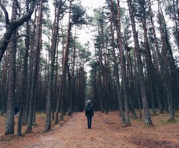 Rear view of people walking in forest