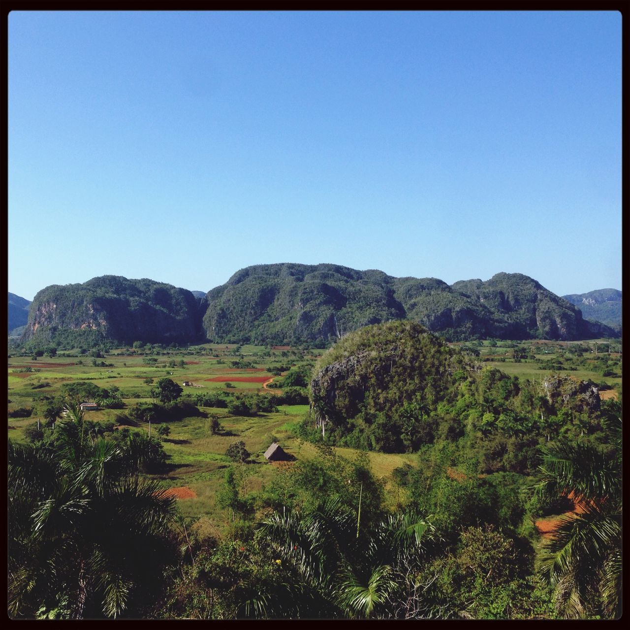 Viñales