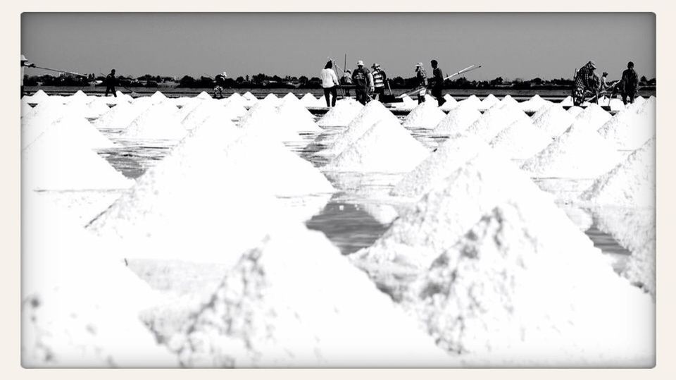 Salt Field!