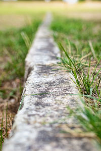 Surface level of wood on field