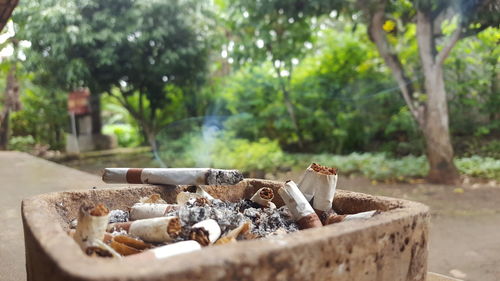 Close-up of cigarette smoking on land