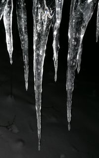 Close-up of frozen water