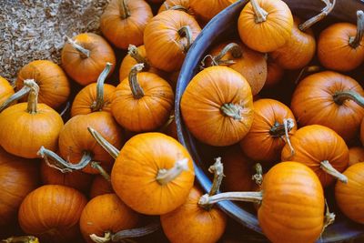 High angle view of pumpkins for sale at market stall