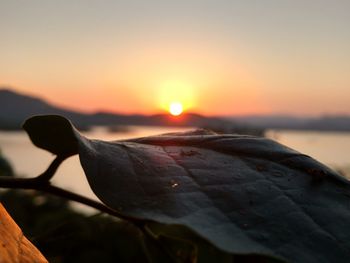 Close-up of sea against sky during sunset