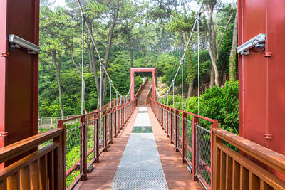 Footbridge amidst trees in forest