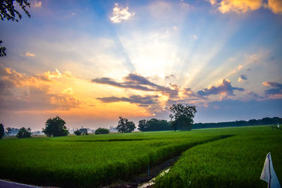 Scenic view of field against sky during sunset