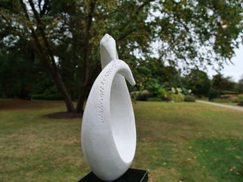 Close-up of white horse in park