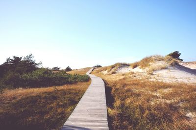 View of wooden footpath leading to sand dune