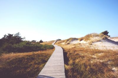 View of wooden footpath leading to sand dune