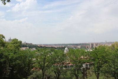 Trees and cityscape against sky