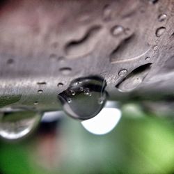 Close-up of water drops on leaf