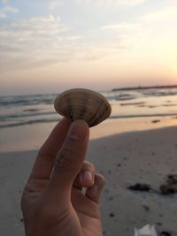 Person holding seashell on beach against sky during sunset