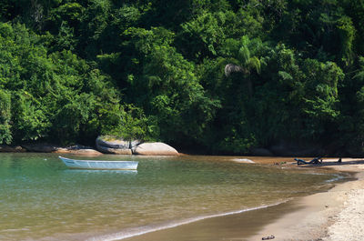 Scenic view of beach