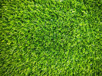 Full frame shot of green grass