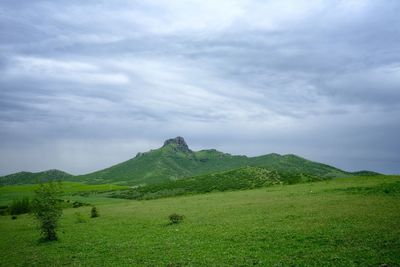 Scenic view of field against sky