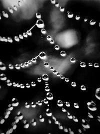 Close-up of water drops on leaf