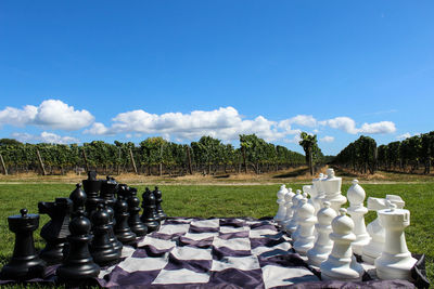 Trees on field against cloudy sky