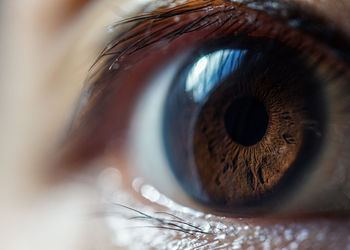 Close-up of human eye