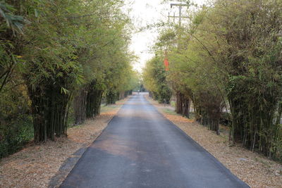 Empty road amidst trees in forest