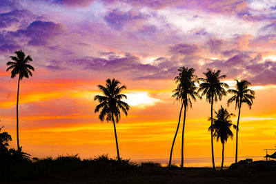 The silhouette of a row of coconut trees on bakongan beach, tapaktuan, aceh during sunset,