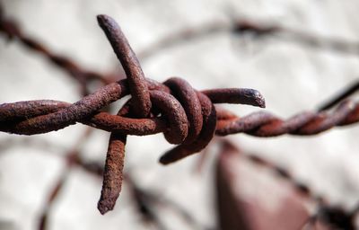 Close-up of rusty chain