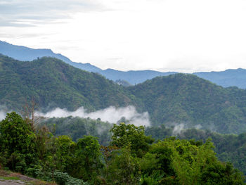 mountain