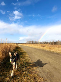 View of dog on road