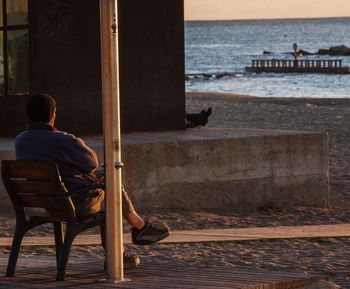 Rear view of people sitting on beach