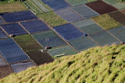 High angle view of farm land in sembalun valley