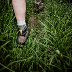 Low section of man walking on grass