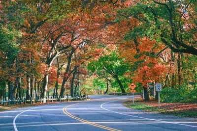 Road amidst trees during autumn