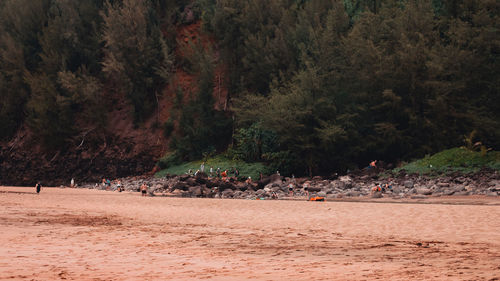 People walking on beach