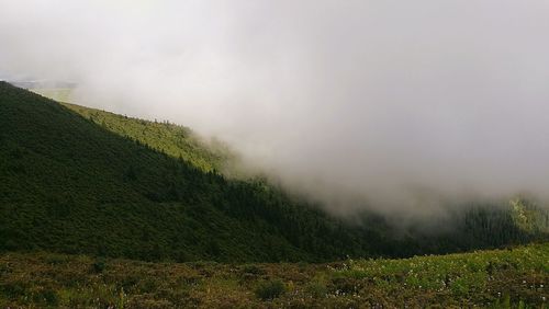 Scenic view of landscape against sky