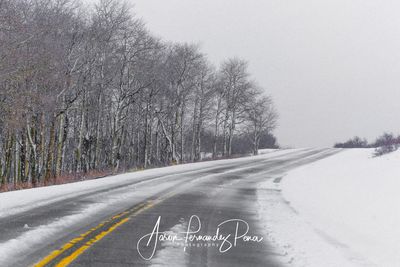 Road amidst bare trees against clear sky during winter