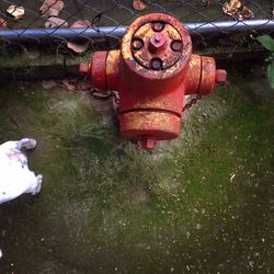 Close-up of rusty pipe