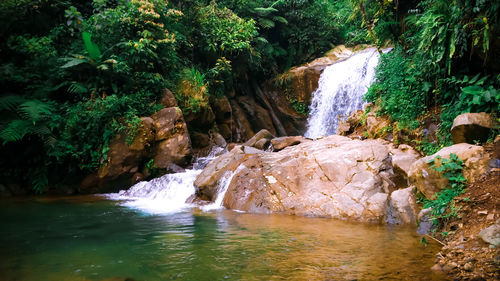 Scenic view of waterfall in forest