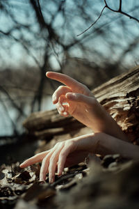 Close-up of person hand on tree