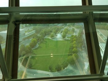 Reflection of trees on glass window