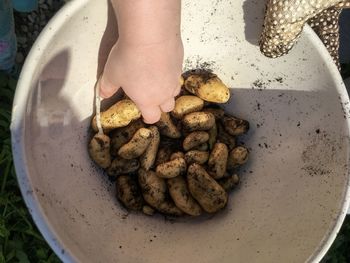 High angle view of person preparing food