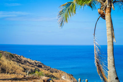 Scenic view of sea against clear blue sky