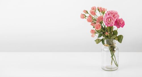 Close-up of rose against white background