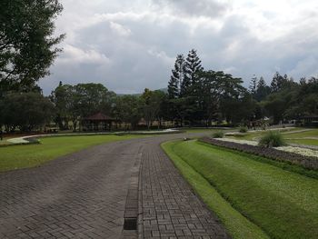 Panoramic view of trees against sky