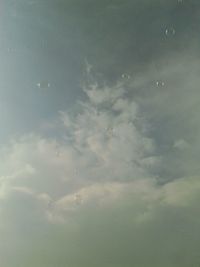 Low angle view of trees against sky