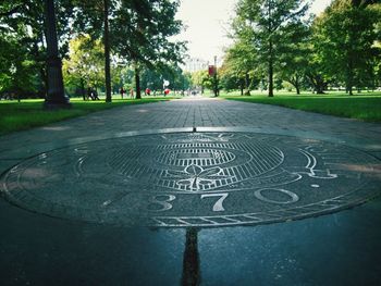 Road with trees in background