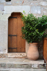 Plants in urn at doorway