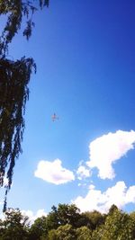 Low angle view of airplane flying against blue sky