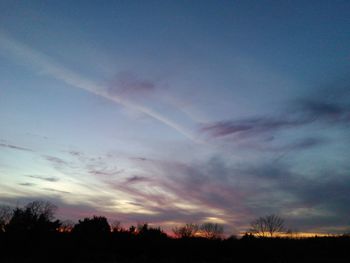 Silhouette of trees at sunset