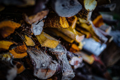 Close-up of firewood