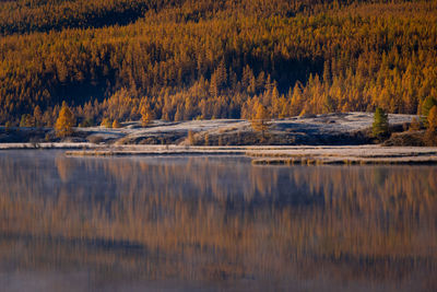 Scenic view of lake in forest during autumn