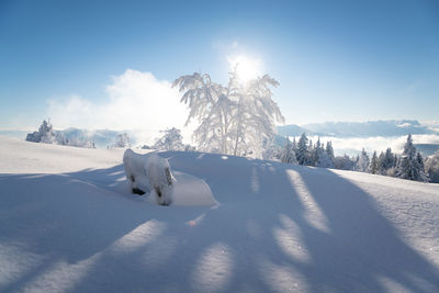 Scenic view of snow covered field against sky